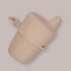 GJZH02L01 apricot