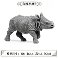 Animal 5