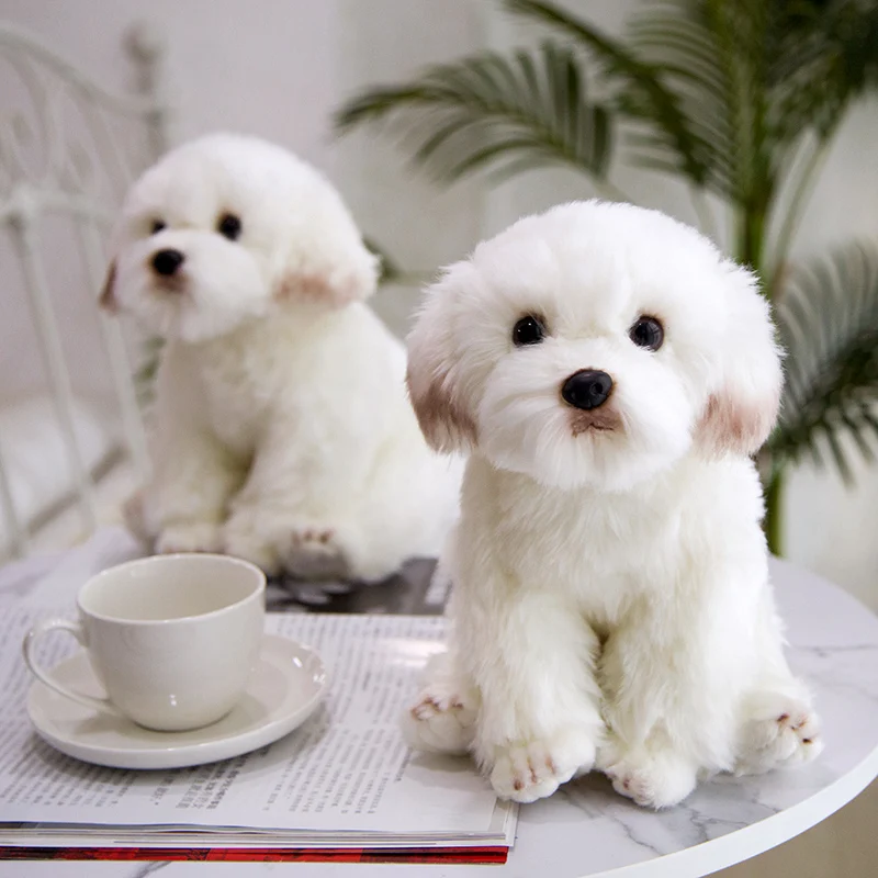 Peluche perro maltés realista y suave – Regalo para cumpleaños - imagen 5