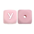 100pcs Y