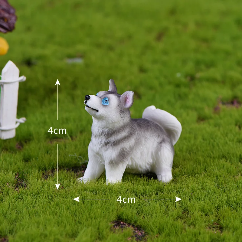 Husky No.4