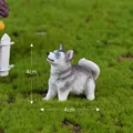 Husky No.4