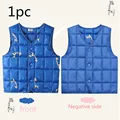 color 2-1pc