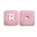100pcs R