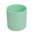 017-mint