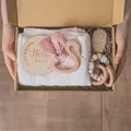 Pink Swan