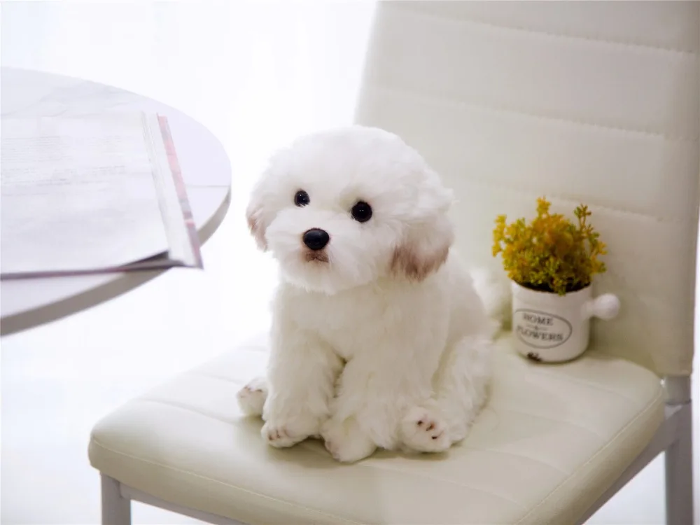 Perro maltés de peluche en decoración de hogar