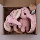 elephants with box