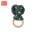 Green Bunny