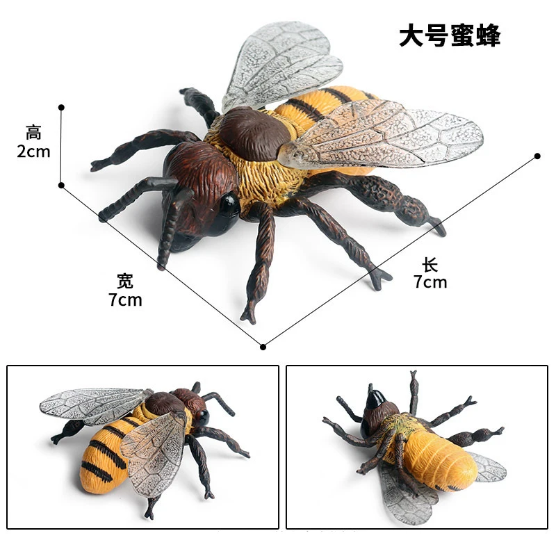 Animal 20