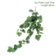 Palm Leaf Vine