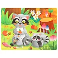 22-raccoon