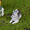 Husky No.1