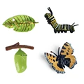 Animal 13