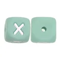 10pcs X