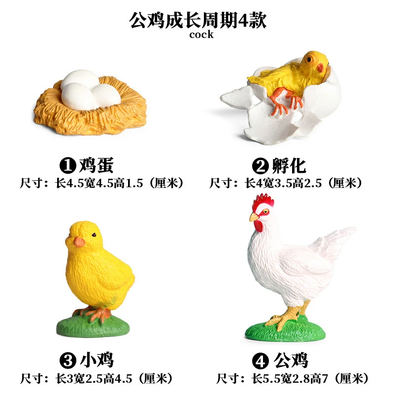 Cock - 1