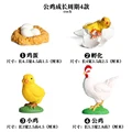 Cock - 1