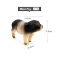 Mini Pig -  b