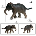 Animal 3
