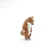 shiba inu