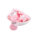 5pc mini fox pink
