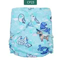 CP23