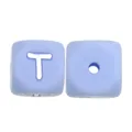 10pcs T
