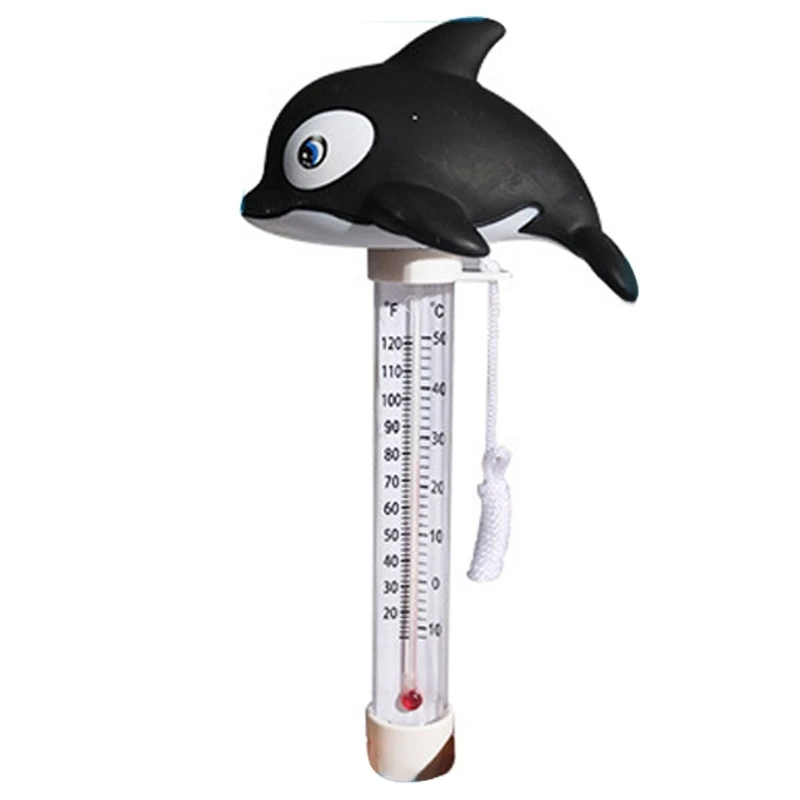 dolphin