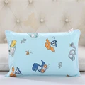 Color 10-pillowcase