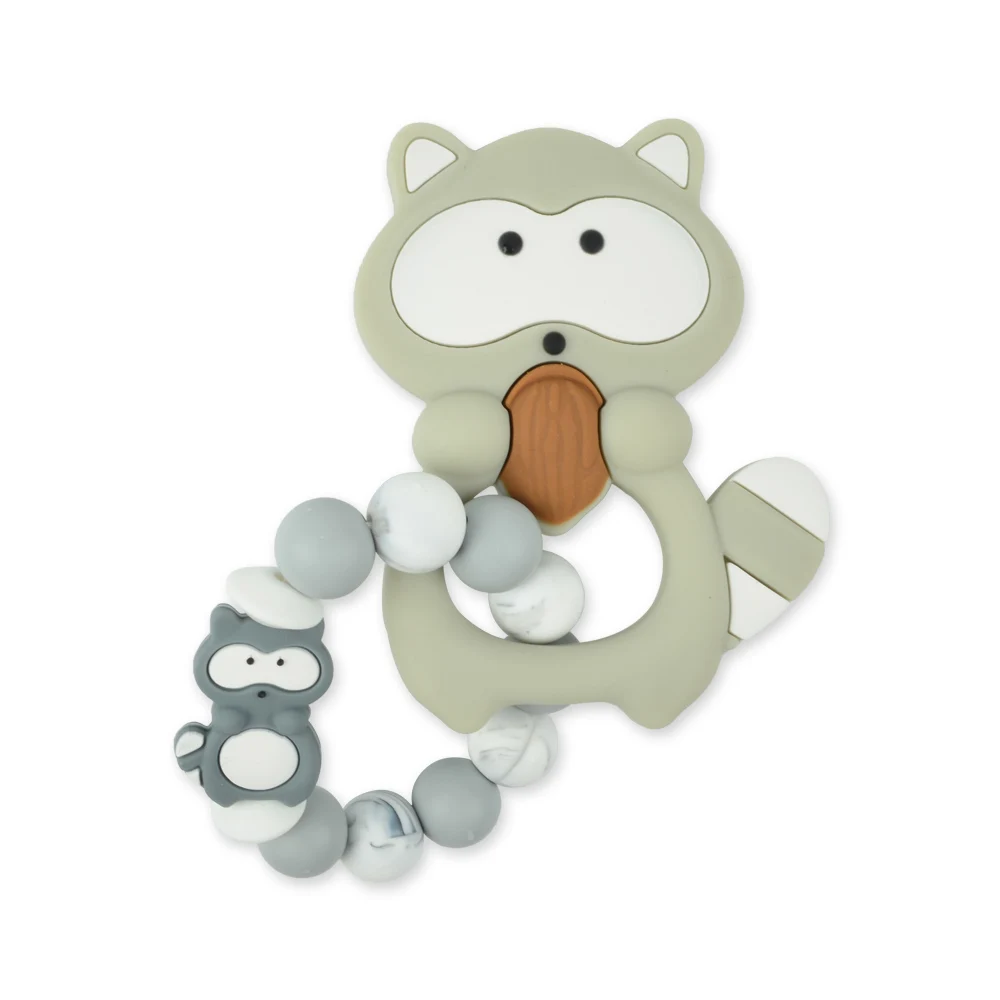 Raccoon 06