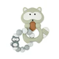 Raccoon 06