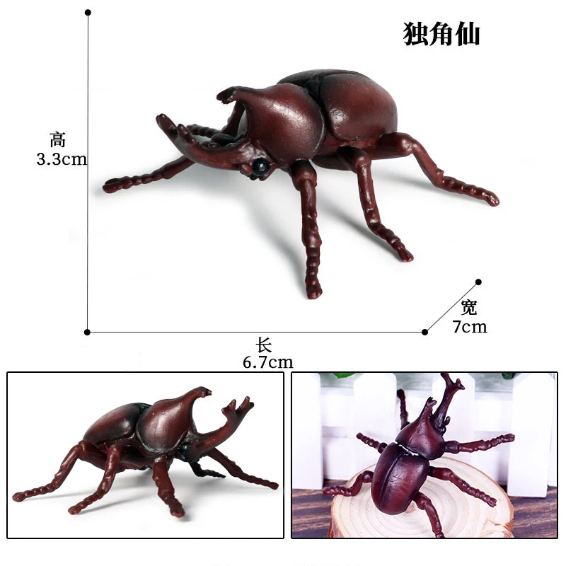 Animal 2