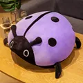 Púrpura