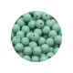 50pcs Mint green