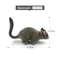 Opossum