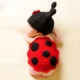 Lace ladybug