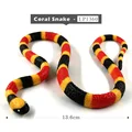 Coral Snake