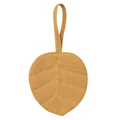 C6-pendant