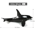Killer Whale