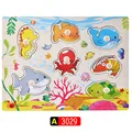 A3029