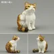 Manx cat