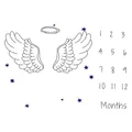 wing