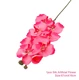 orchid2