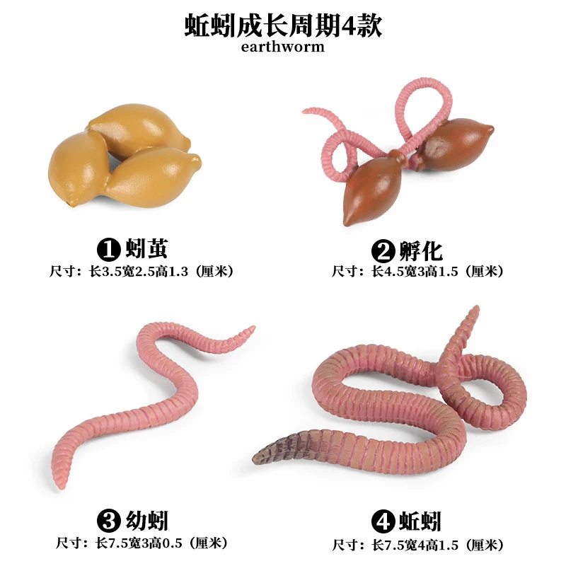 Earthworm
