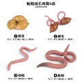 Earthworm