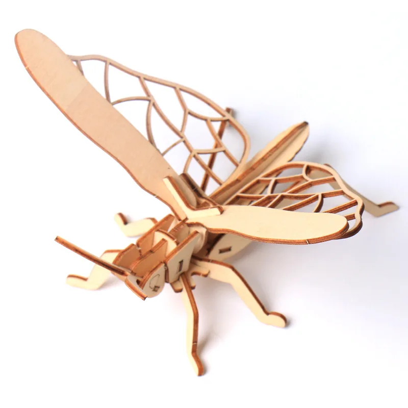 grasshopper