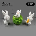 4pcs Rabbit Cabbage