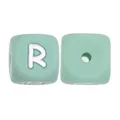 10pcs R
