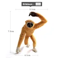 Gibbon