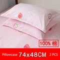 2 pcs pillowcases G